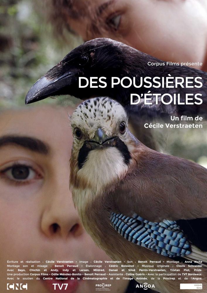 Ciné-rencontre / DES POUSSIERES D'ETOILES