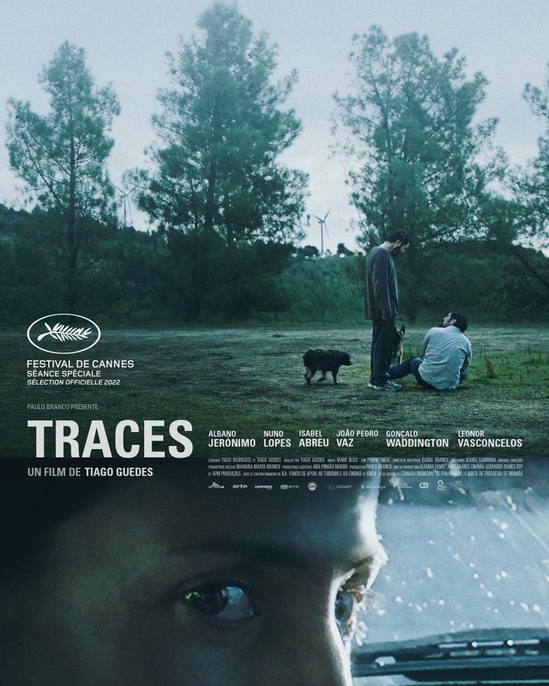 Picta Lusa / TRACES