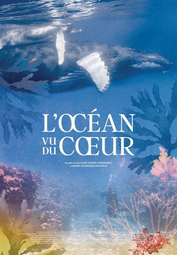 Festival Film Environnemental / L'OCEAN VU DU COEUR 