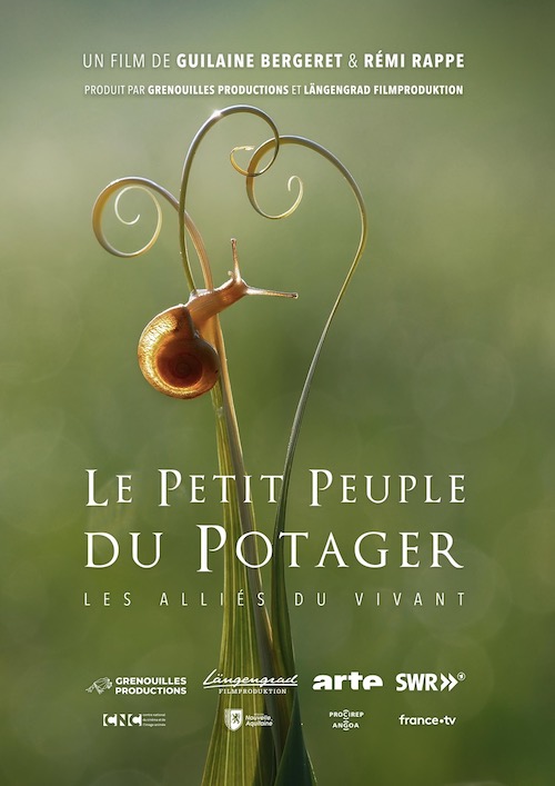 Le petit peuple du potager