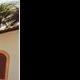 LES BRUITS DE RECIFE